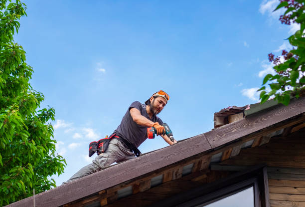 Best Roof Moss and Algae Removal  in Sullivan, MO